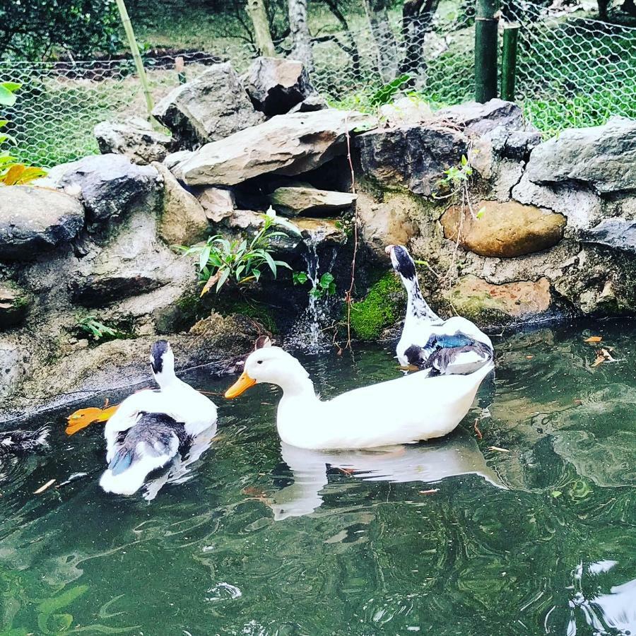 Duck House Hotell La Vega  Eksteriør bilde